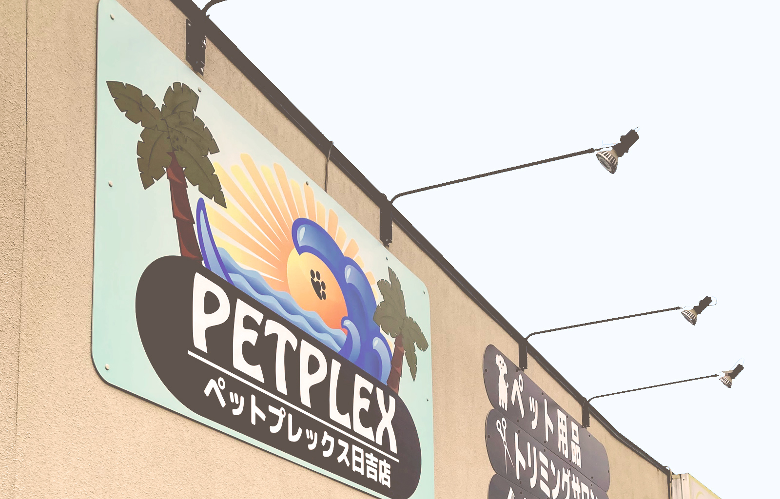 PETPLEX