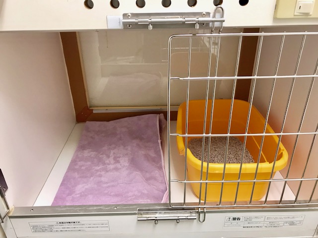 シングルルーム